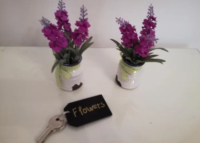 Incentro فندق مبيت وإفطار بورتو سيساريو